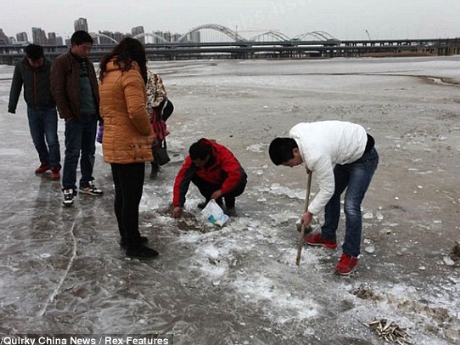 Người[-]dân[-]vui[-]mừng[-]phá[-]băng[-]lấy[-]cá